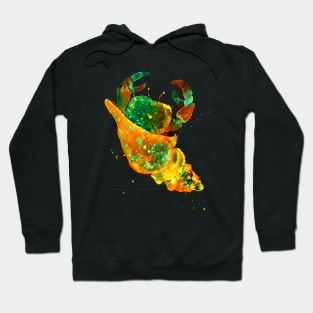 Golden and Turquoise Hermit Crab Hoodie